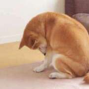 ヒメ日記 2025/08/09 18:15 投稿 しおり スピードエコ梅田店