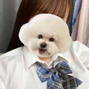 ヒメ日記 2025/10/31 05:28 投稿 しおり スピードエコ梅田店