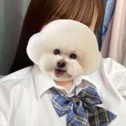 ヒメ日記 2025/11/06 18:16 投稿 しおり スピードエコ梅田店