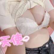 ヒメ日記 2025/11/20 11:56 投稿 しおり スピードエコ梅田店