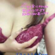 ヒメ日記 2025/02/05 05:54 投稿 岩城(いわき) 八王子人妻城