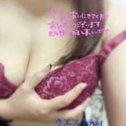 ヒメ日記 2025/02/07 02:03 投稿 岩城(いわき) 八王子人妻城