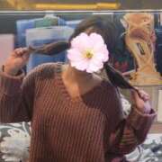 ヒメ日記 2025/04/21 09:18 投稿 アンナ 性の極み 技の伝道師 ver. 匠