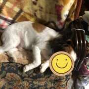 ヒメ日記 2025/07/12 23:03 投稿 宇野（うの） 丸妻 錦糸町店