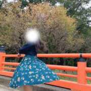 ヒメ日記 2025/11/12 11:02 投稿 宇野（うの） 丸妻 錦糸町店