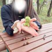 ヒメ日記 2025/11/16 11:05 投稿 宇野（うの） 丸妻 錦糸町店