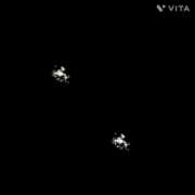 宇野(うの) 生きてるし 丸妻 錦糸町店