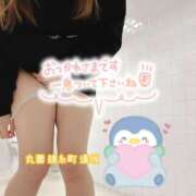 ヒメ日記 2025/02/05 15:49 投稿 逢坂（おうさか） 丸妻 錦糸町店