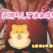 ヒメ日記 2025/02/17 11:28 投稿 逢坂（おうさか） 丸妻 錦糸町店