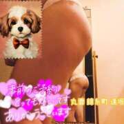 ヒメ日記 2025/06/11 13:37 投稿 逢坂（おうさか） 丸妻 錦糸町店