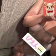 ヒメ日記 2025/07/22 11:56 投稿 逢坂（おうさか） 丸妻 錦糸町店