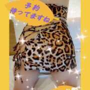 ヒメ日記 2025/09/29 14:08 投稿 逢坂（おうさか） 丸妻 錦糸町店