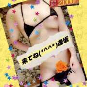 ヒメ日記 2025/11/11 23:29 投稿 逢坂（おうさか） 丸妻 錦糸町店