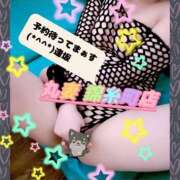 ヒメ日記 2025/11/18 14:18 投稿 逢坂（おうさか） 丸妻 錦糸町店