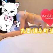 ヒメ日記 2025/11/23 09:35 投稿 逢坂（おうさか） 丸妻 錦糸町店