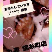 ヒメ日記 2025/12/04 16:29 投稿 逢坂（おうさか） 丸妻 錦糸町店