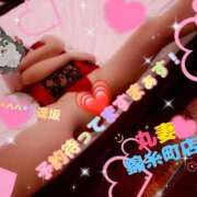 ヒメ日記 2025/12/04 23:19 投稿 逢坂（おうさか） 丸妻 錦糸町店