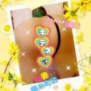 ヒメ日記 2025/12/17 12:16 投稿 逢坂（おうさか） 丸妻 錦糸町店