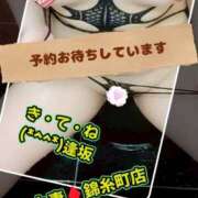 ヒメ日記 2026/02/01 12:36 投稿 逢坂（おうさか） 丸妻 錦糸町店