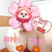 ヒメ日記 2026/02/24 11:25 投稿 逢坂（おうさか） 丸妻 錦糸町店