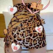 ヒメ日記 2026/02/24 15:41 投稿 逢坂（おうさか） 丸妻 錦糸町店