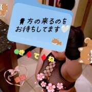 ヒメ日記 2026/03/09 11:45 投稿 逢坂（おうさか） 丸妻 錦糸町店