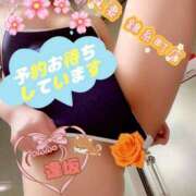 ヒメ日記 2026/03/23 14:30 投稿 逢坂（おうさか） 丸妻 錦糸町店