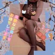 ヒメ日記 2026/04/06 22:57 投稿 逢坂（おうさか） 丸妻 錦糸町店