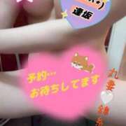ヒメ日記 2026/05/08 10:47 投稿 逢坂（おうさか） 丸妻 錦糸町店