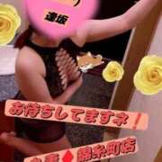 ヒメ日記 2026/05/12 11:11 投稿 逢坂（おうさか） 丸妻 錦糸町店