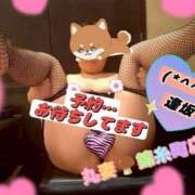 ヒメ日記 2026/05/16 09:35 投稿 逢坂（おうさか） 丸妻 錦糸町店