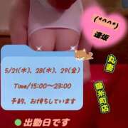 ヒメ日記 2026/05/20 07:27 投稿 逢坂（おうさか） 丸妻 錦糸町店