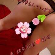 ヒメ日記 2026/06/09 08:07 投稿 逢坂（おうさか） 丸妻 錦糸町店