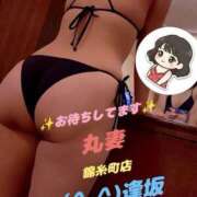 ヒメ日記 2026/08/07 00:23 投稿 逢坂（おうさか） 丸妻 錦糸町店