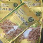 ヒメ日記 2025/04/29 12:30 投稿 雅（みやび） 丸妻 錦糸町店