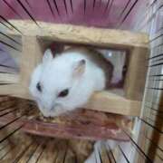 ヒメ日記 2025/08/10 12:40 投稿 雅（みやび） 丸妻 錦糸町店