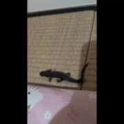 ヒメ日記 2025/08/30 13:10 投稿 雅（みやび） 丸妻 錦糸町店