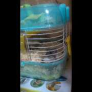 ヒメ日記 2025/10/03 12:53 投稿 雅（みやび） 丸妻 錦糸町店