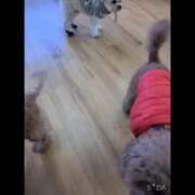 ヒメ日記 2025/12/18 13:09 投稿 雅（みやび） 丸妻 錦糸町店