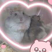 ヒメ日記 2026/01/20 08:34 投稿 雅（みやび） 丸妻 錦糸町店