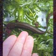 ヒメ日記 2026/02/23 11:08 投稿 雅（みやび） 丸妻 錦糸町店