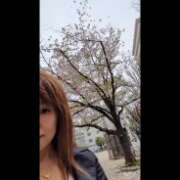 ヒメ日記 2026/04/07 08:35 投稿 雅（みやび） 丸妻 錦糸町店