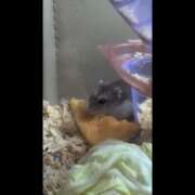 ヒメ日記 2026/04/28 19:26 投稿 雅（みやび） 丸妻 錦糸町店