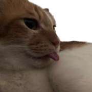 ヒメ日記 2025/07/15 14:00 投稿 佐野（さの） 丸妻 錦糸町店