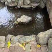 ヒメ日記 2025/10/11 22:11 投稿 佐野（さの） 丸妻 錦糸町店