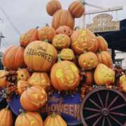 ヒメ日記 2025/10/31 06:07 投稿 佐野（さの） 丸妻 錦糸町店