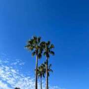 ヒメ日記 2025/11/14 14:20 投稿 佐野（さの） 丸妻 錦糸町店