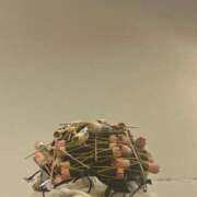 佐野（さの） 解禁！！🍷 丸妻 錦糸町店