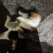 ヒメ日記 2026/01/08 04:44 投稿 佐野（さの） 丸妻 錦糸町店