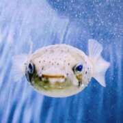 ヒメ日記 2026/04/09 21:55 投稿 佐野（さの） 丸妻 錦糸町店